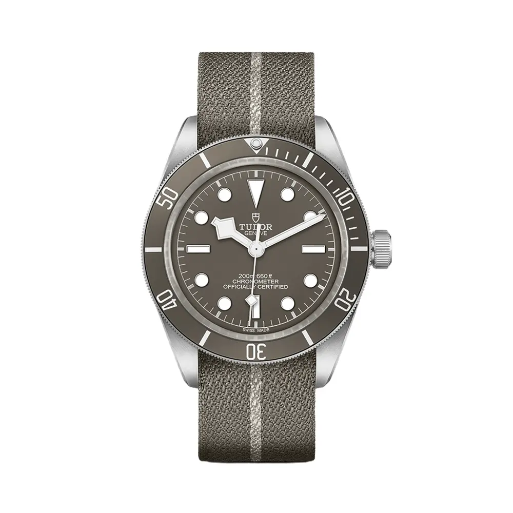 Black Bay 58 925 39Mm - Taupe On Fabric Strap 1