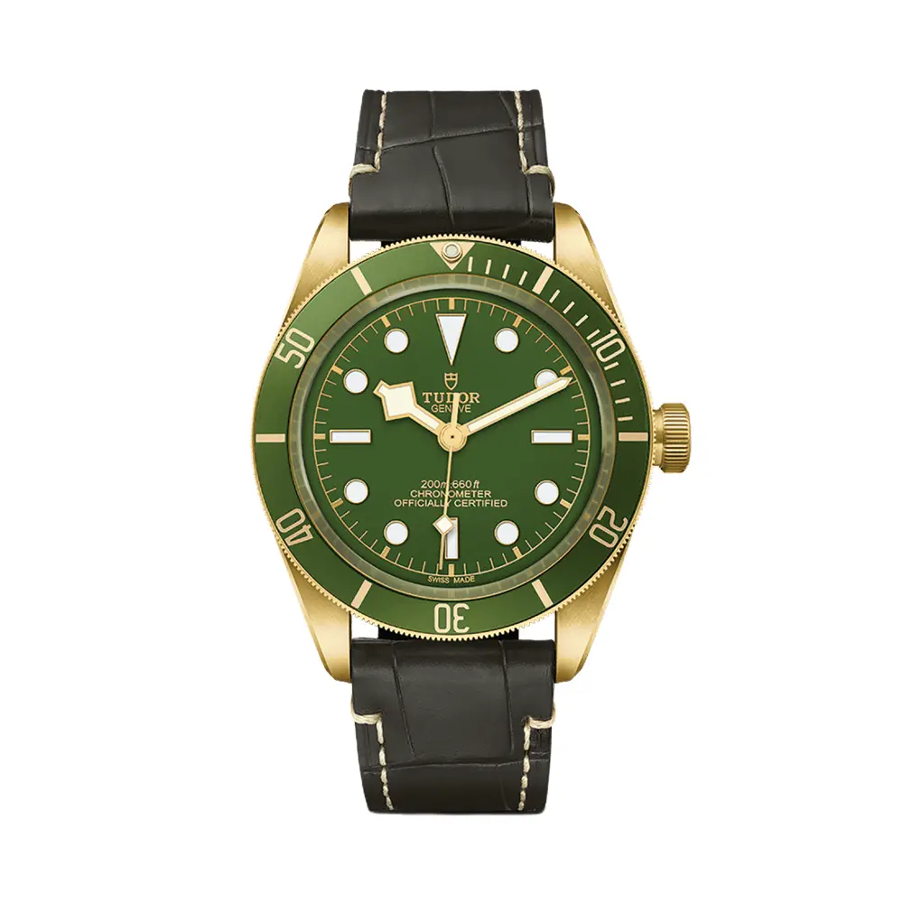 Black Bay 58 18K Yellow-Gold 39Mm - Green On Leather Strap W/ Extra Fabric Strap 1