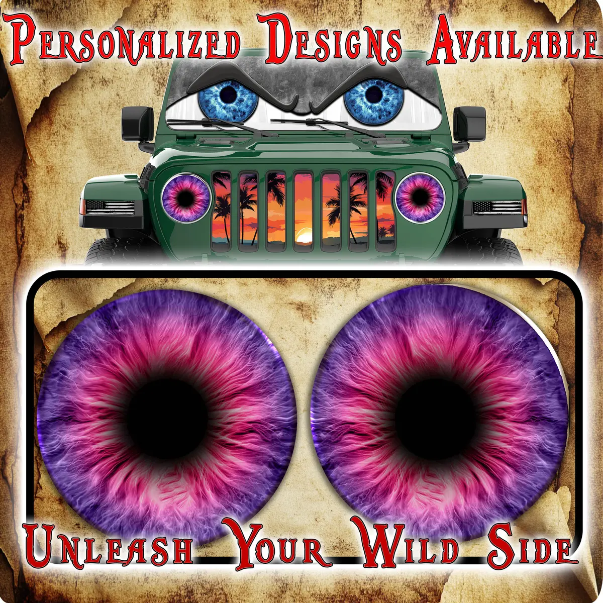 Purple And Pink Headlight Decal 23 1