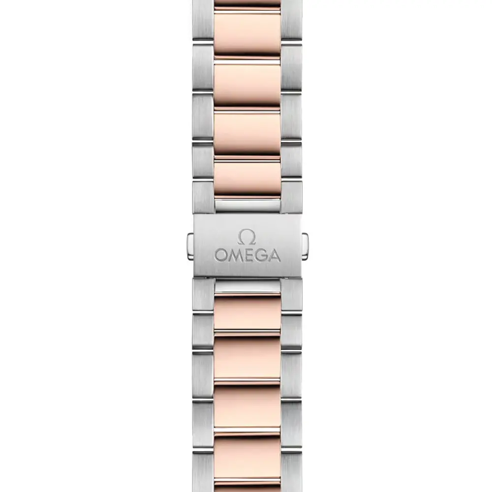 Seamaster Aqua Terra 150M Steel And Sedna™ Gold 38Mm ‑ Silver On Bracelet 2