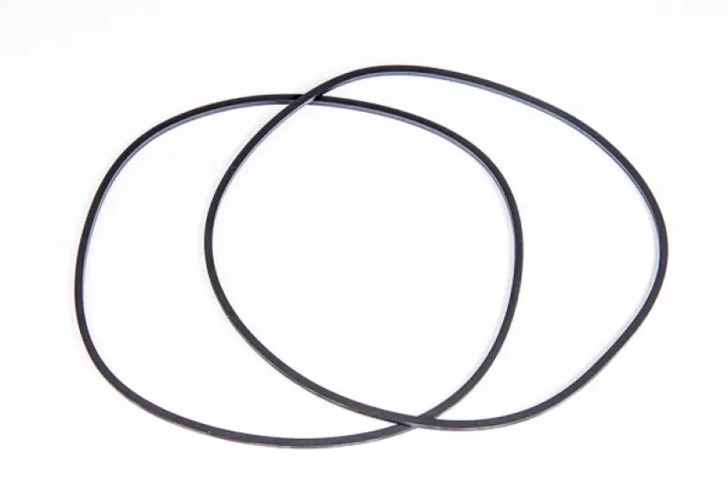 Radium Engineering Multi-Pump Fuel Surge Tank O-Ring Replacement Kit 1