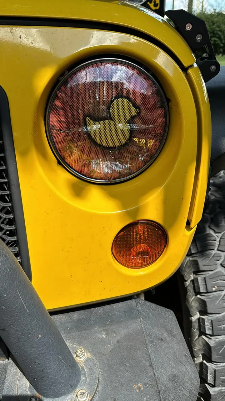 Yellow Duck And Orange Eye 1