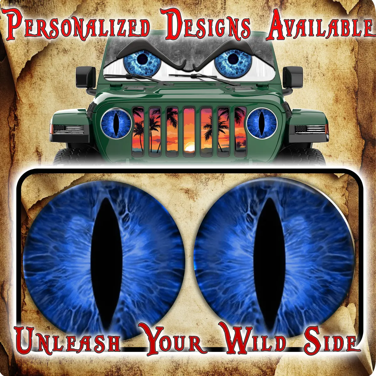 Bluecat Eyes For The Headlight Decals 5 1