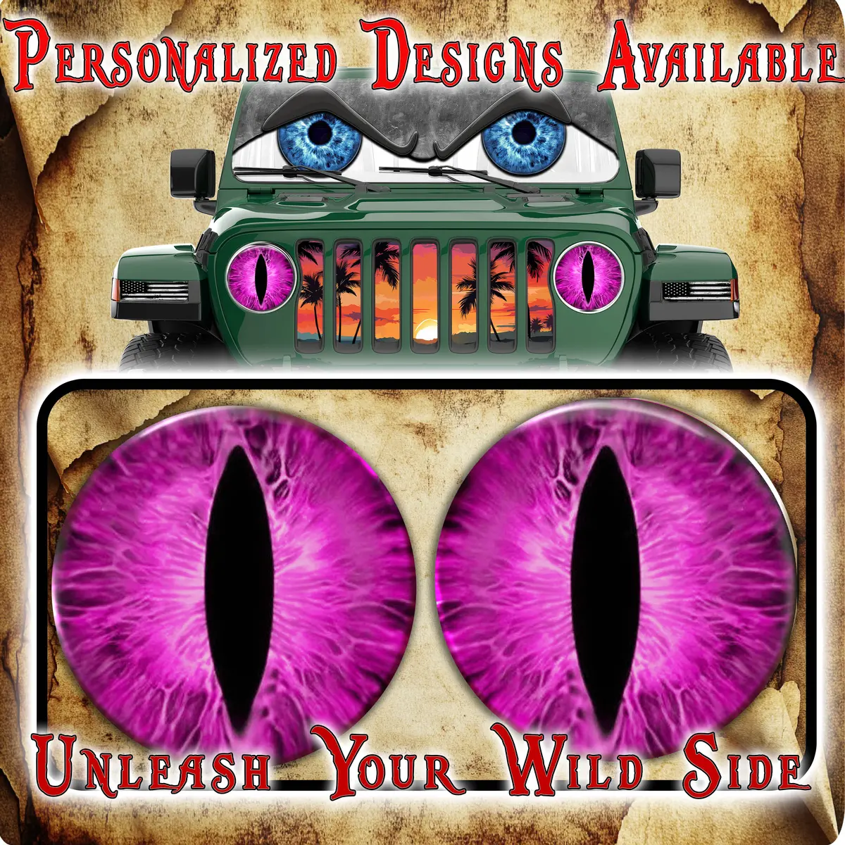 Hot Pink Cat Eyes For The Headlight 99 1