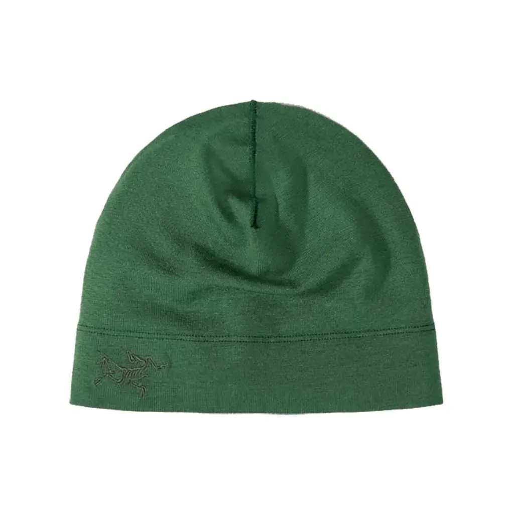 Arc'teryx Rho Lightweight Wool Toque - Eden 1