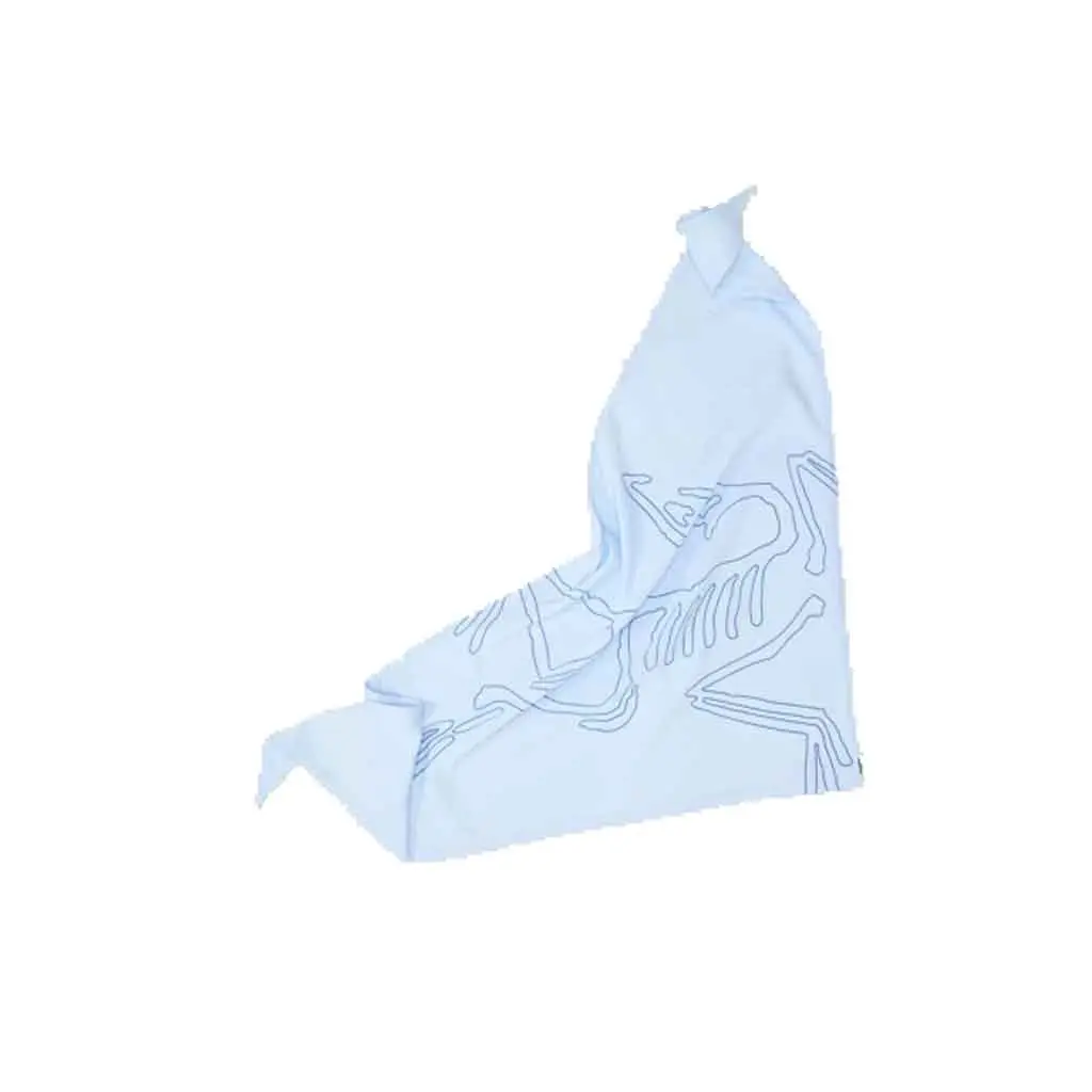 Arc'teryx Sinsolo Bandana - Alpine Blue X000010184 1