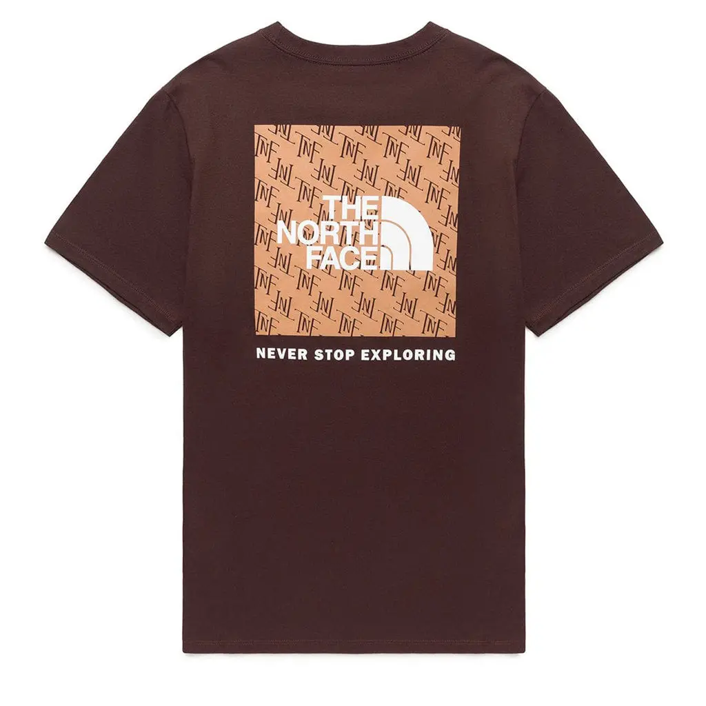 The North Face Box Nse Tee - Coal Brown 1