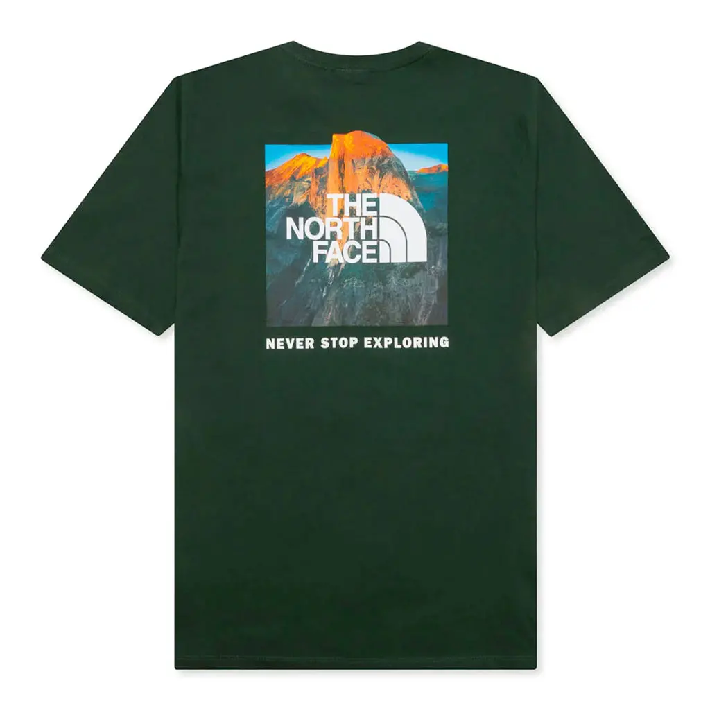 The North Face Box Nse Tee - Pine Needle Green 1