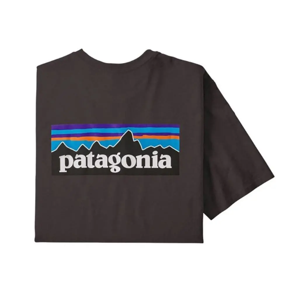 Patagonia P-6 Logo Responsibili Tee - Babn 38504 1