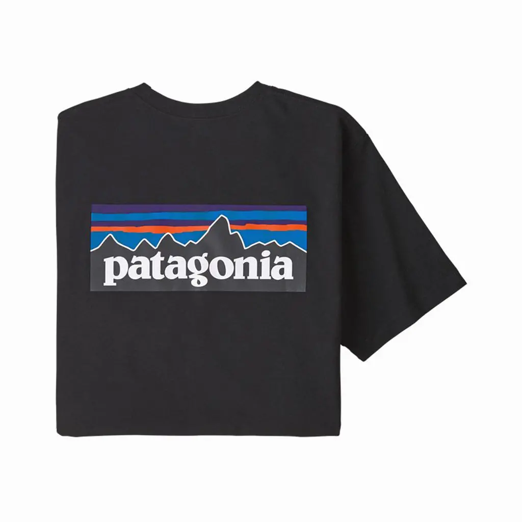Patagonia Men's P-6 Logo Pocket Tee - Black (Blk) 38512 1