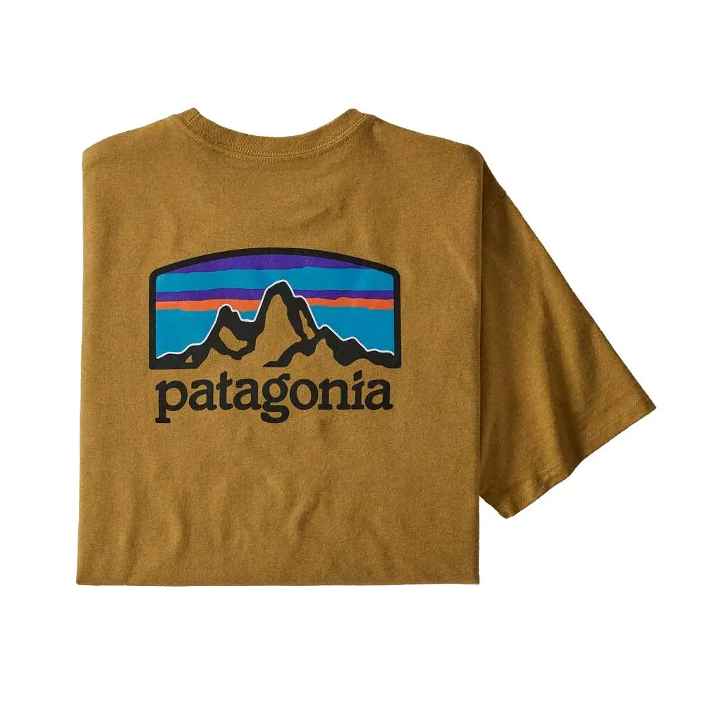 Patagonia Fitz Roy Horizons - Bkwg 1