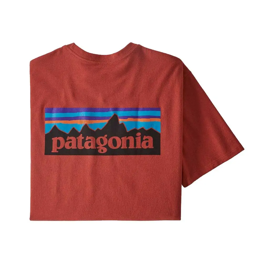 Patagonia P-6 Logo Responsibili Tee - Hte 38504 1