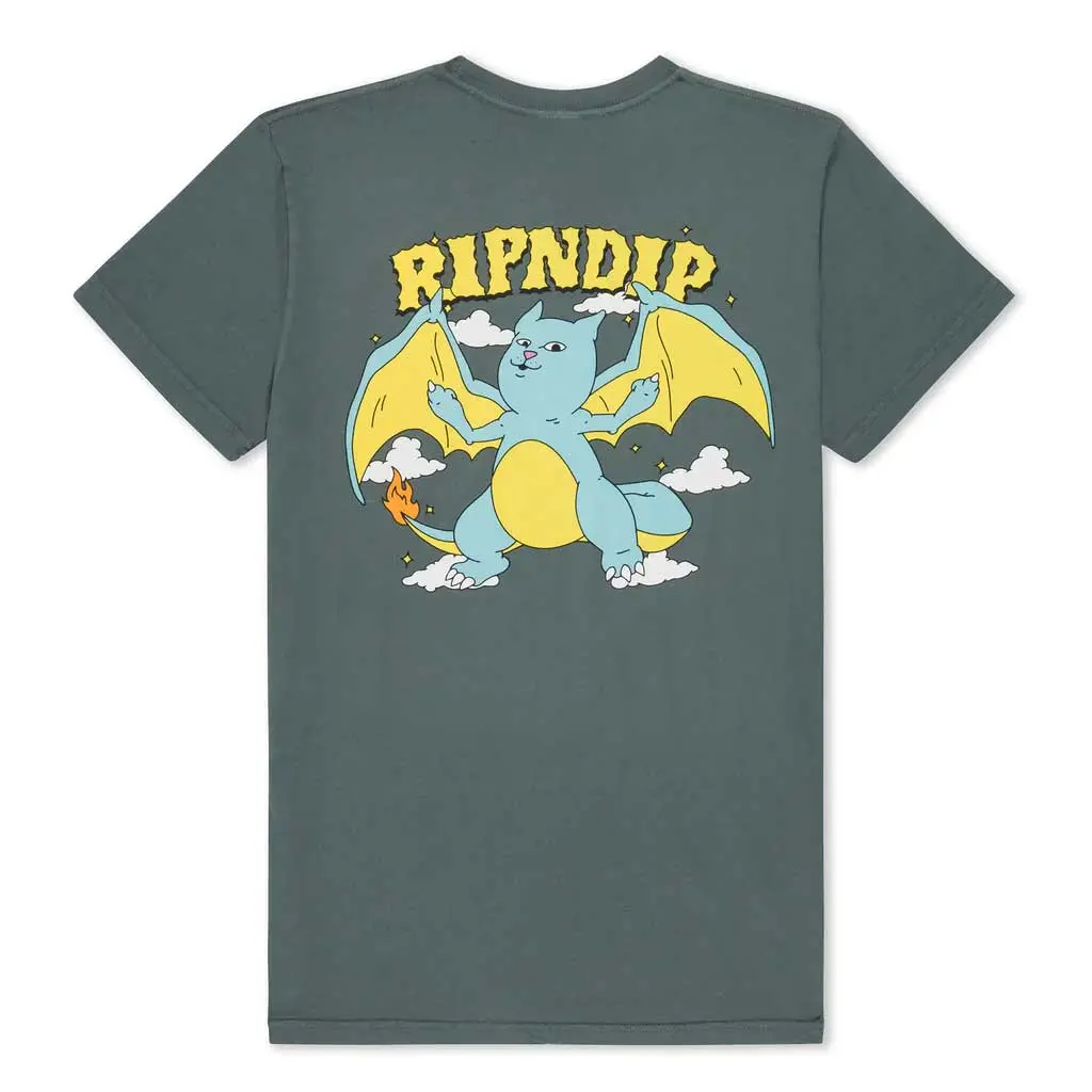 Rip N Dip Charanerm Tee - Charcoal 1