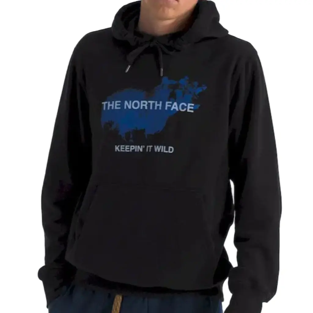 The North Face Animals We Love Bear Hoodie - Tnf Black Jk3 1