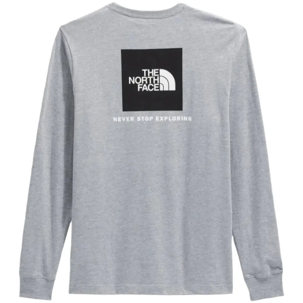 The North Face Evolution Box Nse L/S Tee - Pale Grey Q01 1
