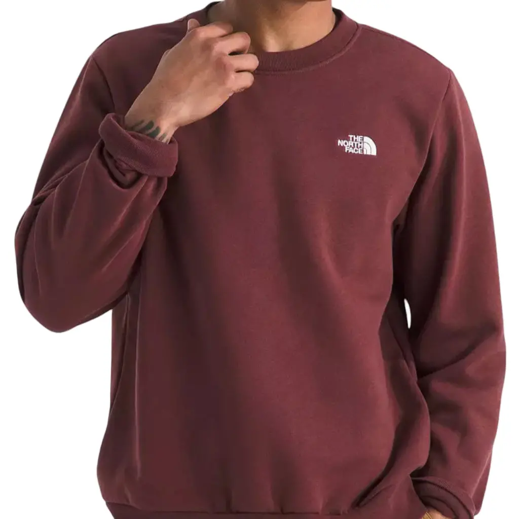 The North Face Evolution Simple Dome Oversized Crew - Sumac Ovo 1