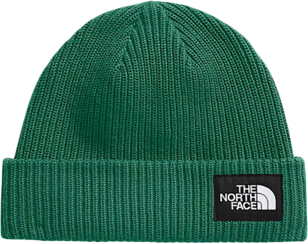 The North Face Salty Lined Beanie - Evergreen Nl1 1