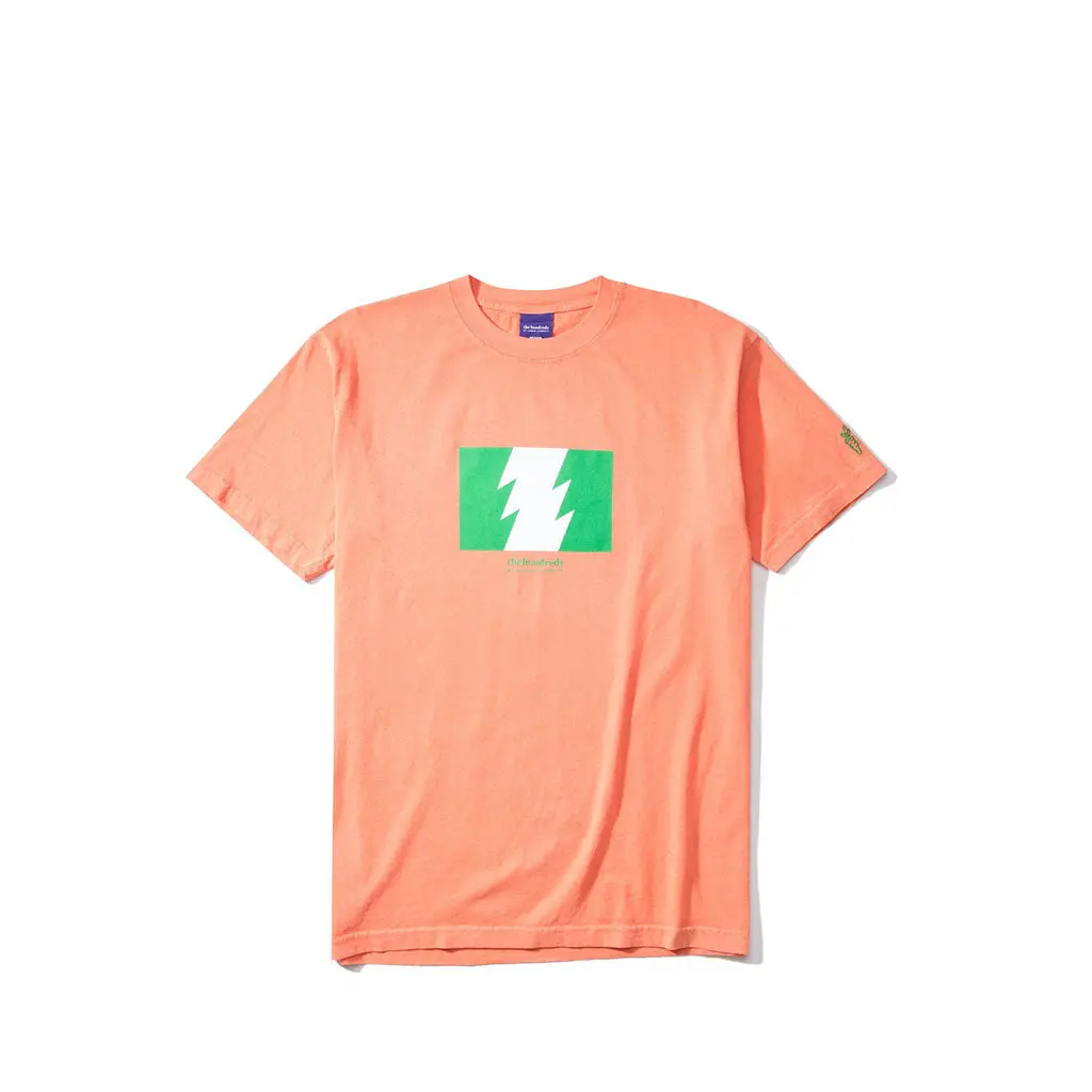 The Hundreds Anwar Wildfire T-Shirt - Salmon 1