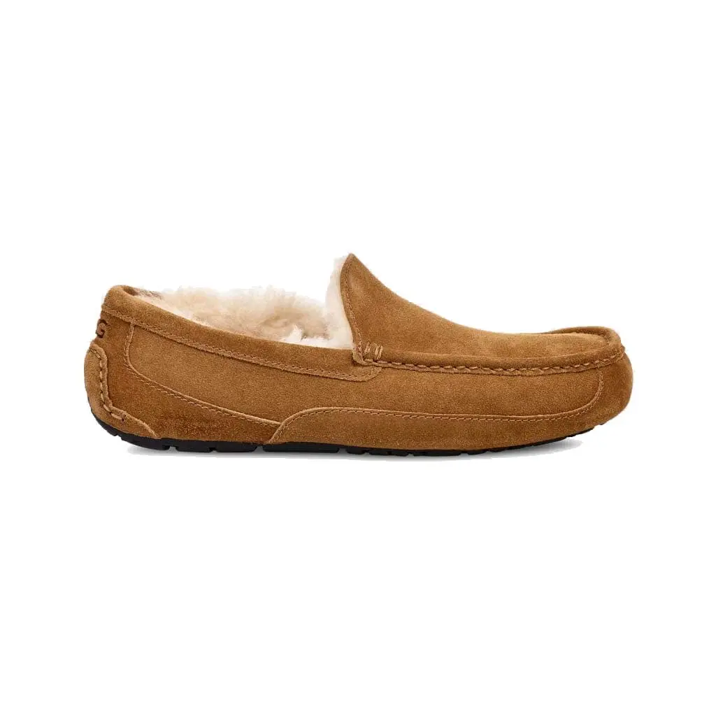 Ugg Men's Ascot Slipper - Chestnut 1