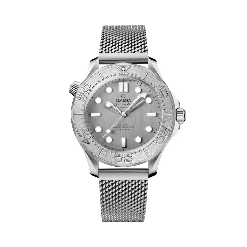 Seamaster Diver 300M Titanium Bezel 42Mm - Grey On Bracelet 1
