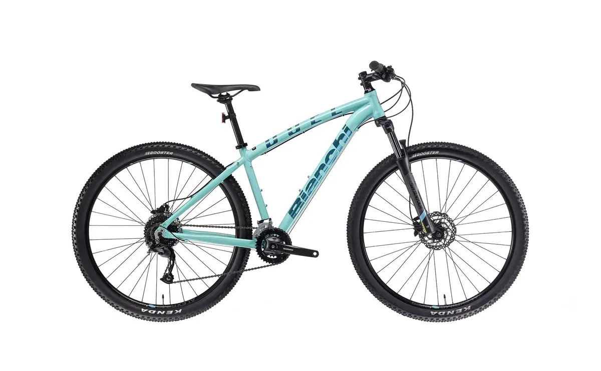 Bianchi Duel 29S 43Cm Medium 1