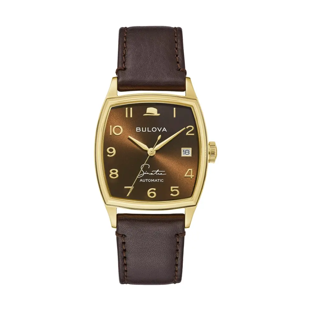 Young At Heart Gold-Tone 33.5Mm - Brown On Leather Strap 1
