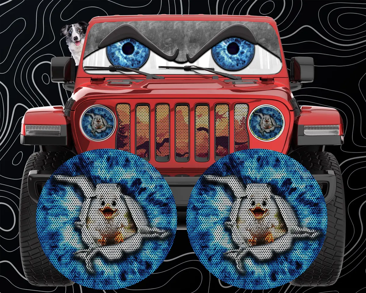 Duck Eye Round Headlight Decals 1