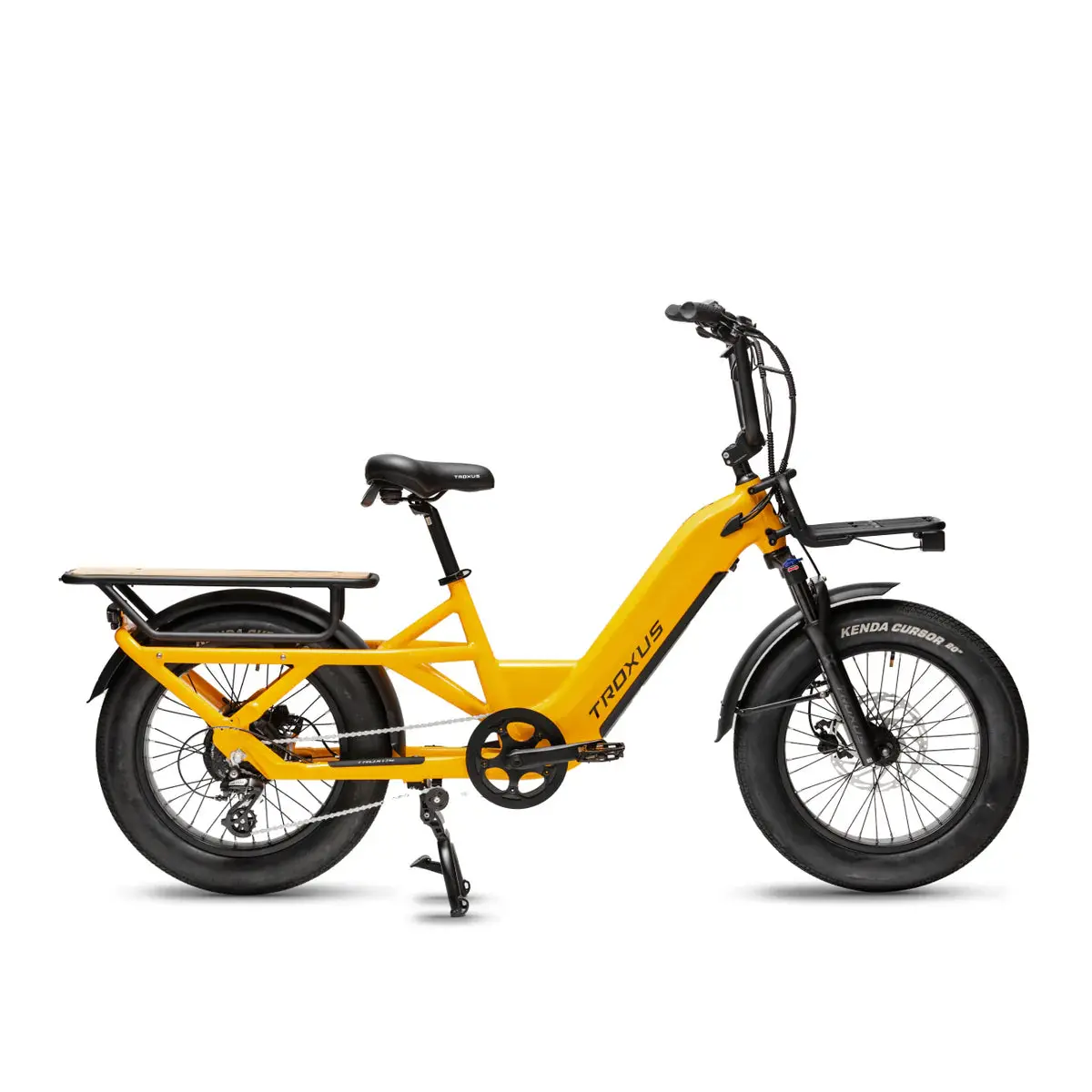 Troxus Lynx Cargo Class 2 Cargo E-Bike 1