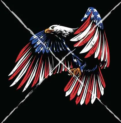 Flying Flag Eagle 1