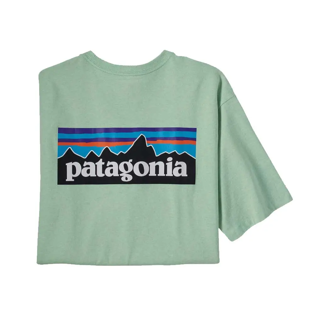 Patagonia P-6 Logo Responsibili Tee - Teag 38504 1